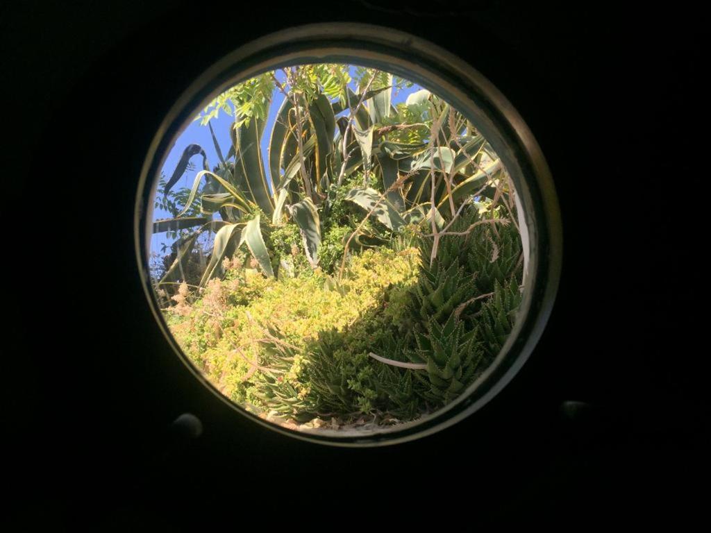 Rifugio Del Marinaio - Sul Mare Βίλα Polignano a Mare Εξωτερικό φωτογραφία